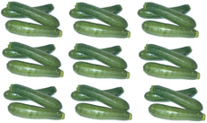Zucchini-9x3.jpg